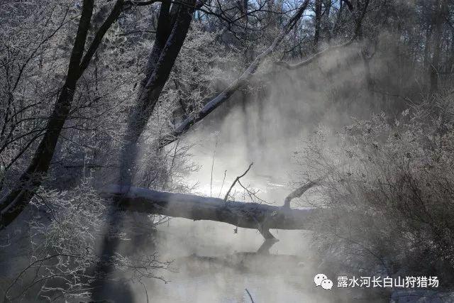 车载音乐媒体设置弹出怎么取消啊